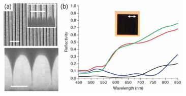 금 나노 그루브(gold nano groove)를 이용한 광대역 광 흡수체의 SEM 이미지(a)와 광 흡수 스펙트럼(b)