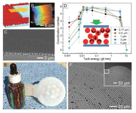 C. Park et al. “Quick, Large-Area Assembly of a Single-Crystal Monolayer of Spherical Particles by Unidirectional Rubbing” Adv. Mater. 26 (27) (2014)