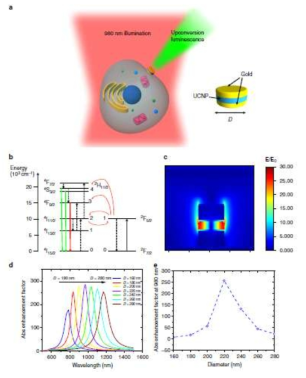 Design and optimization of dispersible, plasmonic MIM nanostructure. a Schematic of MIM nanostructure. The top and bottom gold layers squeeze the light into the UCNP insulator layer resulting in a highly localized field that enhances the upconversion process. Poor adhesion between the gold and silicon substrate allows for easy lift off and dispersal into solution. MIMs can be functionalized and attached to cells for bioimaging. b Energy levels of donor Yb3+ and acceptor Er3+ ions relevant to upconversion process. UCNP absorbs 980 nm light and emits upconverted green and red luminescence. c Simulated field profile under 980 nm normal incidence plane wave excitation. d Simulated diameter dependence of plasmonic resonance. MIM diameter can be used to tune resonance to any desired wavelength with large absorption enhancement occurring over a wide range of excitation wavelengths. e Simulated absorption enhancement factor at 980 nm for various diameters