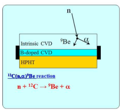 CVD Diamond Detector for Fast Neutron Measurement