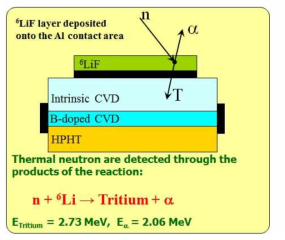 CVD Diamond Detector for Thermal Neutron Measurement