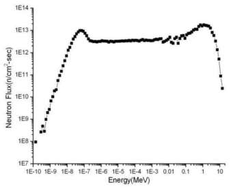 MCNP 계산된 중성자 스펙트럼 (CT공)