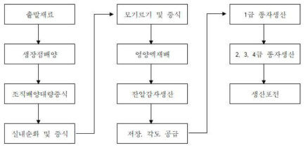 북한에서 종자감자생산체계(농업생물학연구소, 2004. 12)