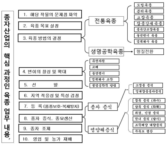 종자산업의 핵심 과정인 육종의 업무 내용