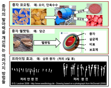 종자의 발아력를 증진하기 위한 각종 종자 조제 방법