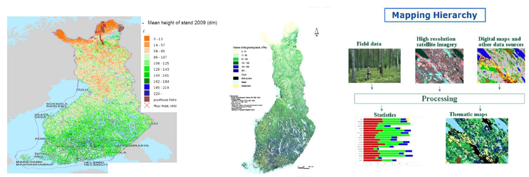 핀란드의 임상도 및 다차원 국가산림자원조사(Multi source NFI) 기반 임목축적지도