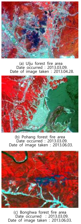 RapidEye image of large forest fire area
