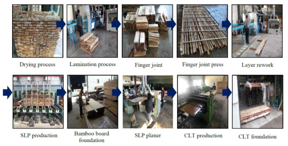 Tropical hybrid CLT manufacturing process in H. Co., Ltd, Korea