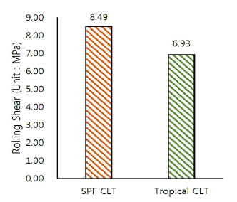 Rolling shear strength of SPF CLT and tropical hybrid CLT