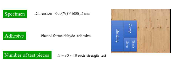 합판 제조 및 시편 제작