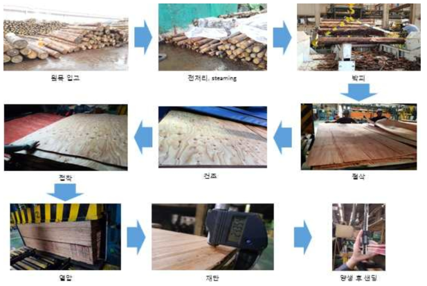 합판의 제조 공정