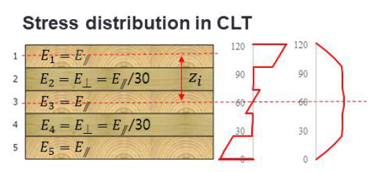 CLT의 휨, 전단 응력분포