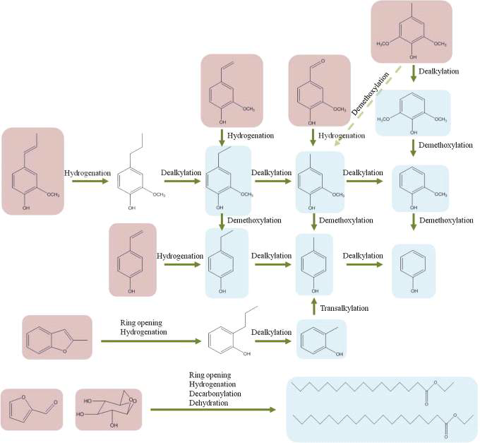 바이오오일 내 저분자 물질의 수첨탈산소 반응에 의한 변환 메커니즘 (Oh et al., 2015)