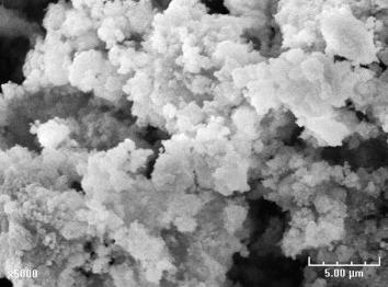 Mouret et al.에 의하여 합성된 알루미나-이산화타이타늄의 SEM 이미지