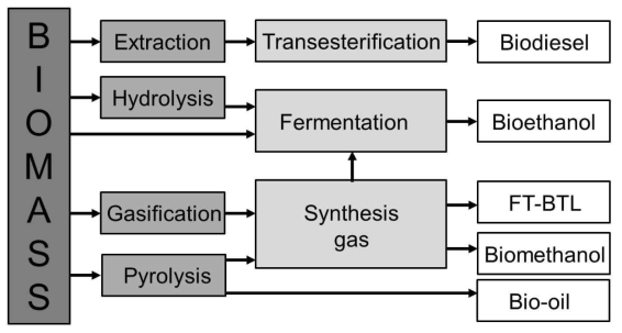 바이오매스의 생화학적 및 열화학적 액상 연료화 공정 및 공정 생산물