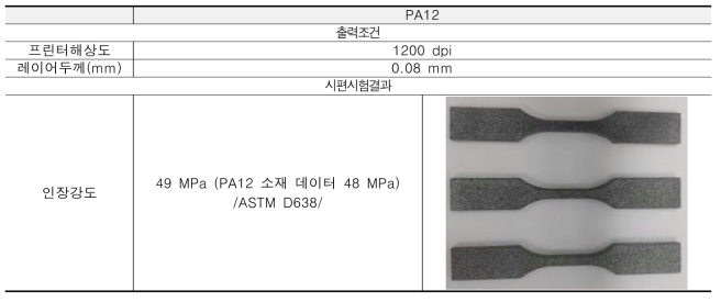 PA 12 소재 출력조건 및 표준시편 기계적 특성