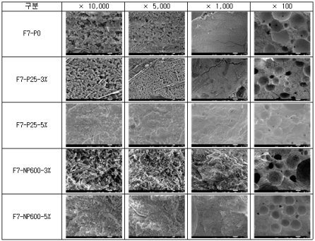 TiO2 사용에 따른 다공성 콘크리트 미세구조