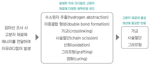 감마선 조사에 의한 고분자 재료의 다양한 화학반응