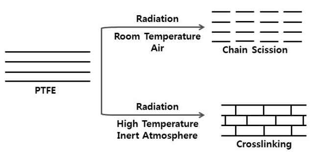 감마선 조사 시 환경 조건에 따른 PTFE의 반응