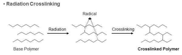 감마선 조사에 따른 가교 반응 개념도