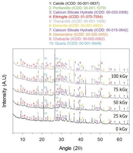 감마선 조사선량에 따른 시멘트 복합체 시편 XRD 분석결과