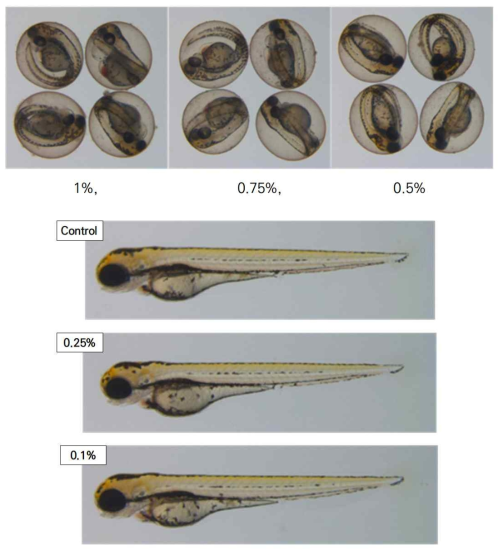 세척제 D의 제브라피쉬 발아독성(72hpf)