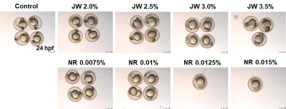 세척제 E(NR)와 세척제 F(JW)의 zebrafish 발아독성(24hpf)