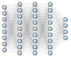 Fully Connected Network 구조