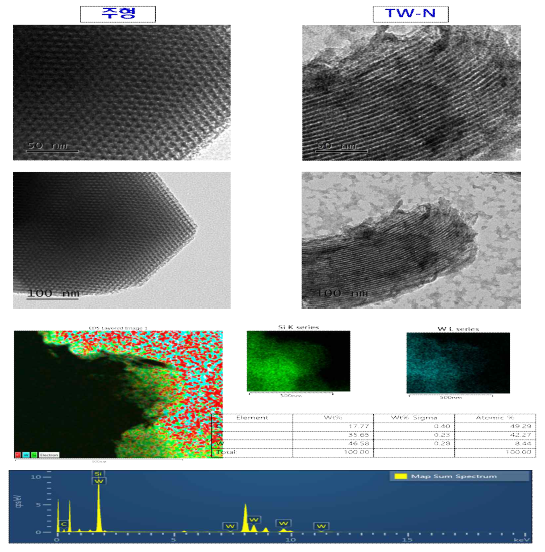 SBA-15 및 메조세공 텅스텐 산화물의 TEM 및 EDX 분석