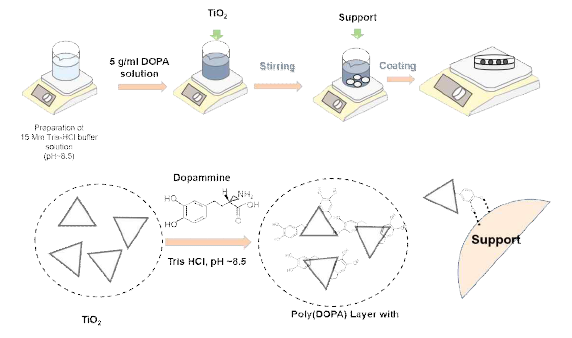 Polydopamine 이용 코팅 메커니즘