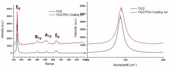 TiO2-PDA 의 Raman분석