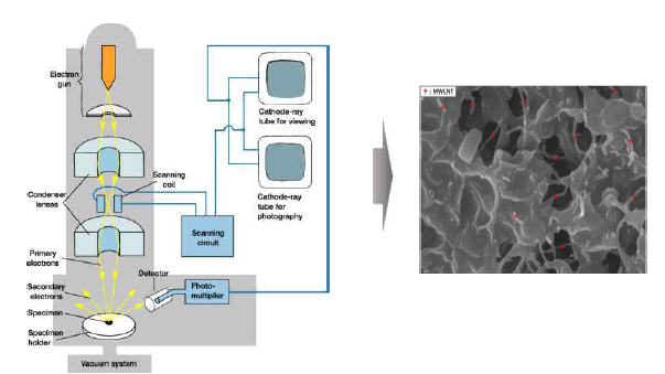 FE-SEM 분석 방법