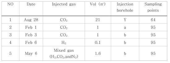 2012-2013 동안 INAS 부지에서 실시된 가스 주입 실험 조건