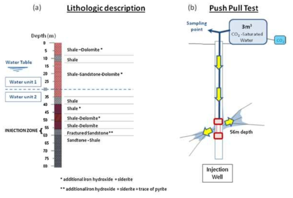 (a) 수리지질학적 주입정 모식도 및 (b) 단공 푸시-풀 실험(single push-pull test) 모식도