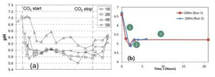 (a) 포화대에 주입한 시추공 모니터링에서 pH 변화 결과(Kharaka et al., 2010). (b) 실험실 실험에서 pH 변화 결과 (Abidoye et al., 2015)