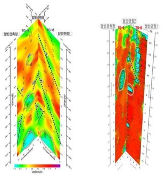 탄성파 토모그래피 결과 및 전기비저항 토모그래피 결과