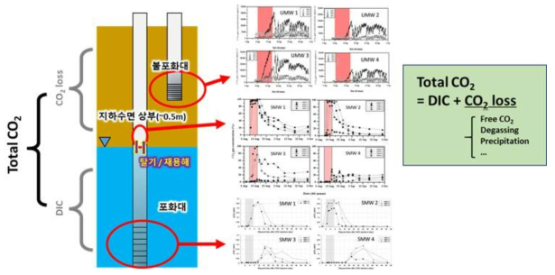 연구현장 누출시험시 가스상 CO2의 포화대 및 불포화대 분배특성 파악