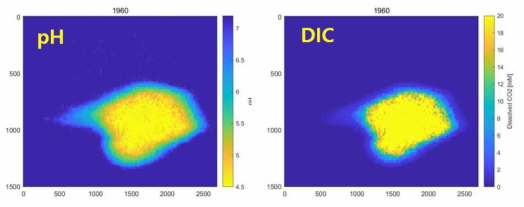영상분석을 통해 재구성한 pH와 용해상 CO2 농도장