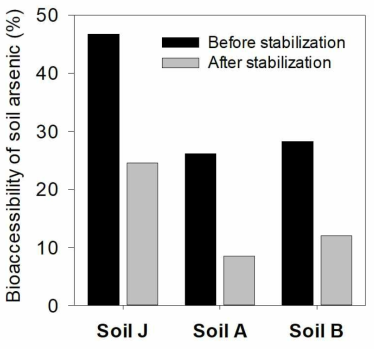 기술적용 전후 토양 비소의 생물학적접근성 변화