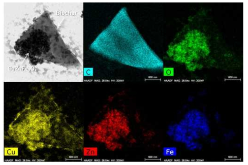 CZF-Biochar 의 탄소, 산소, 구리, 아연, 철 원자 모식도