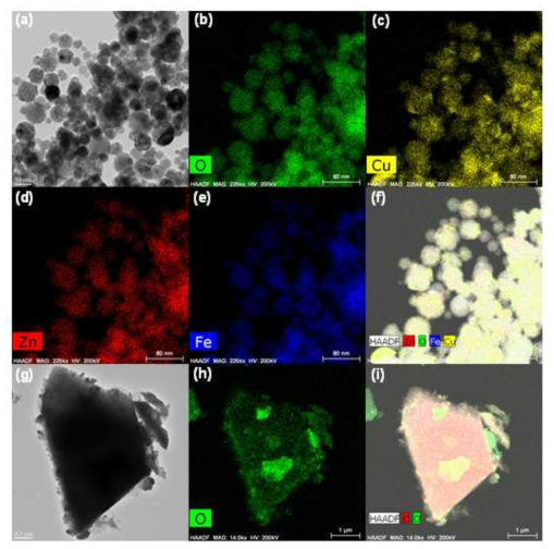 (a) CZF 및 (g) biochar의 대표적인 TEM 이미지, (be) CZF 및 (h) biochar의 O, Cu, Zn 및 Fe의 원소 매핑 및 HAADF (conjugated high-angle annular dark-field) 스캐닝 TEM (f) CZF 및 (i) biochar의 이미지