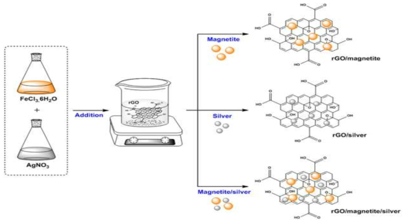 rGO, rGO/magnetite, rGO/silver, 및 rGO/magnetite/silver 합성체 합성 방법 모식도