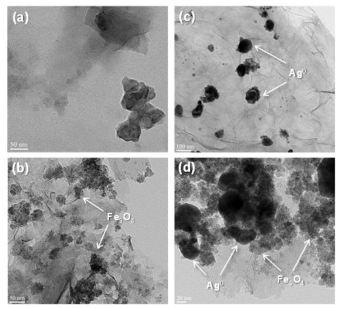 합성체의 TEM 결과: (a) rGO, (b) rGO/magnetite, (c) rGO/silver, 및 (d) rGO/magnetite/silver nanohybrids