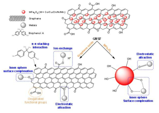 GNSFs를 활용한 흡착 물질 메카니즘 모식도