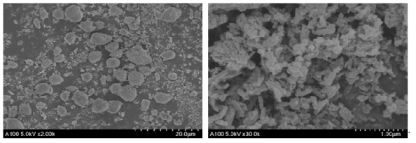 MOFs 의 주사전자현미경 결과