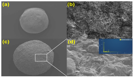 CA-MWNT bead SEM image 및 Mapping spectrum 결과