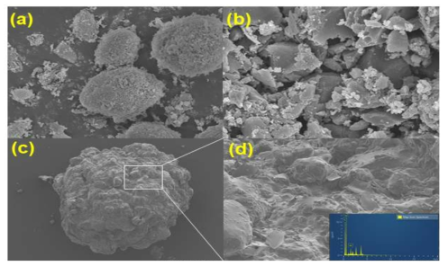 CA-MIL-53-AC bead SEM image 및 EDX 결과