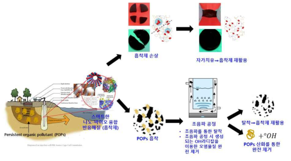 Nano 흡착제를 이용한 유기오염물질 제거 평가