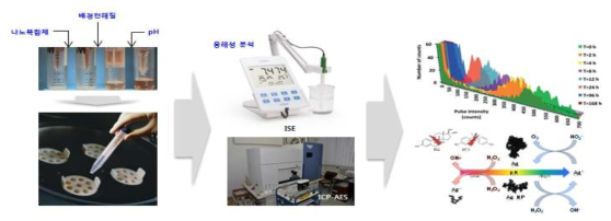 스마트 나노-바이오 융합소재의 동역학적 융해성 분석