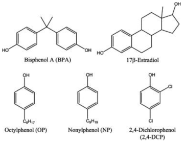 페놀 그룹이있는 BPA 및 기타 EDC의 화학 구조 (Imai et al., 2007)